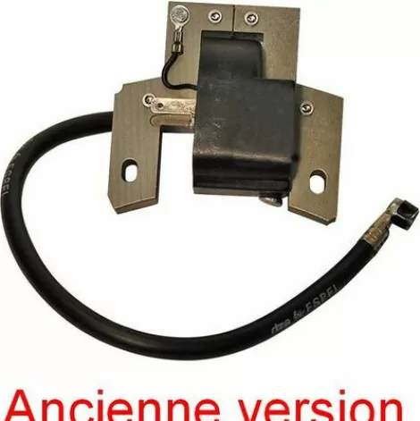 * G N Rique Bobine Electronique Briggs Et Stratton> Accessoire Pour Tondeuse Et Autoportée