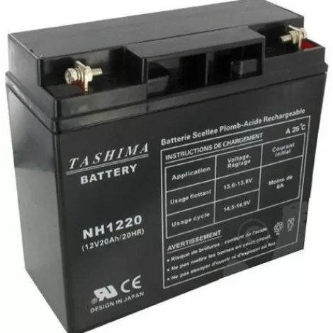 * Ggp/Castelgarden Batterie Tondeuse Autoportee 12V 20Ah Nh1220> Accessoire Pour Tondeuse Et Autoportée